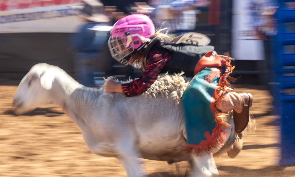 Get Ready for Mutton Busting